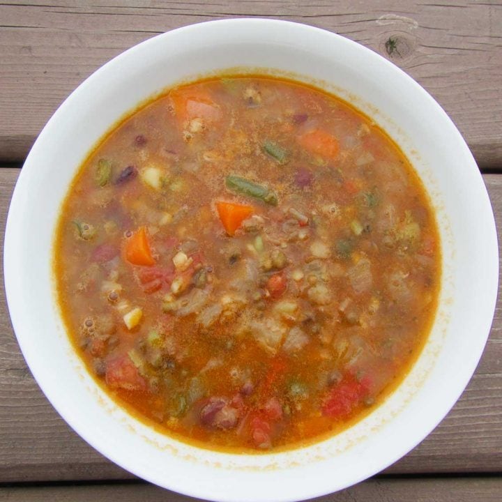 sprouted mung bean soup with sprouted lentils