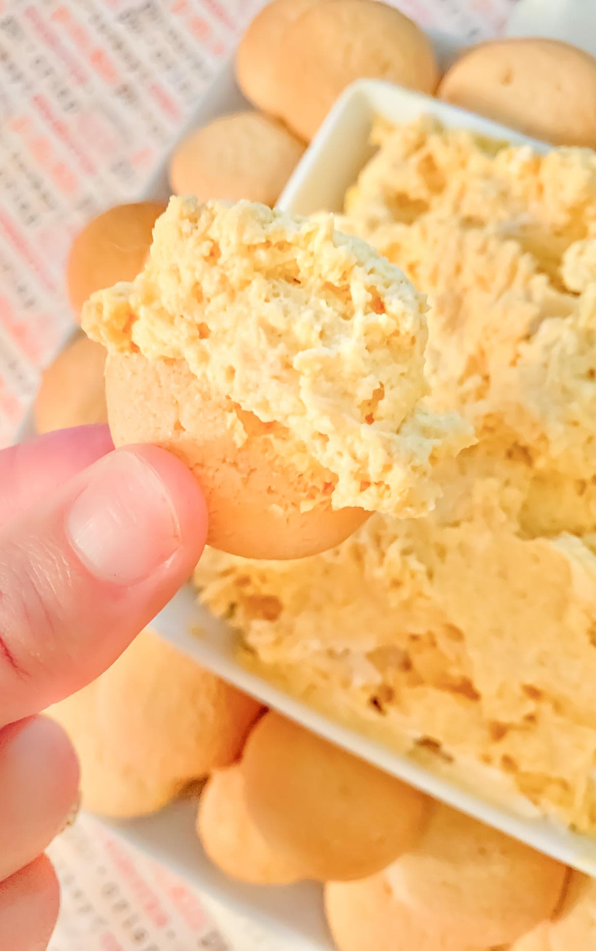 Easy Pumpkin Fluff Dip with Cool Whip with Only 3 Ingredients