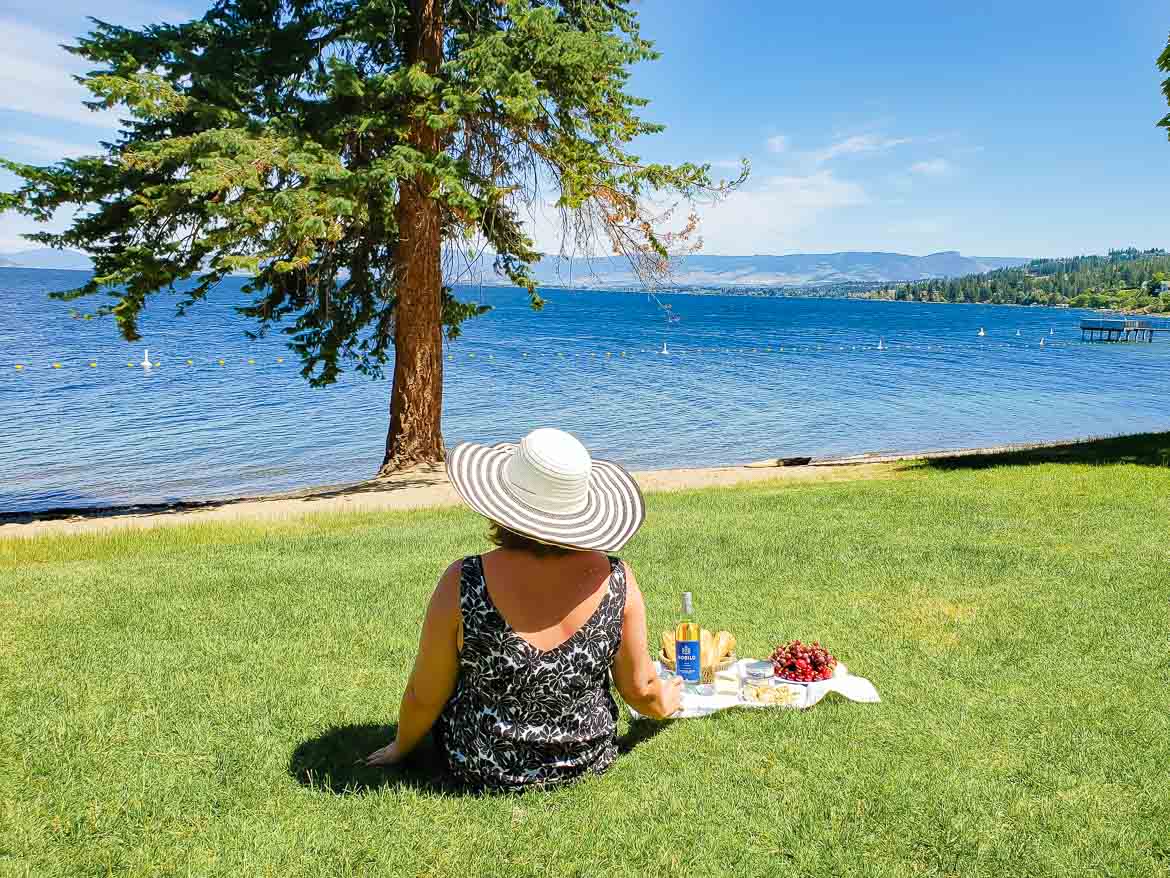 sun filled outdoor picnic with Nobilo Sauvignon Blanc by a mountain lake