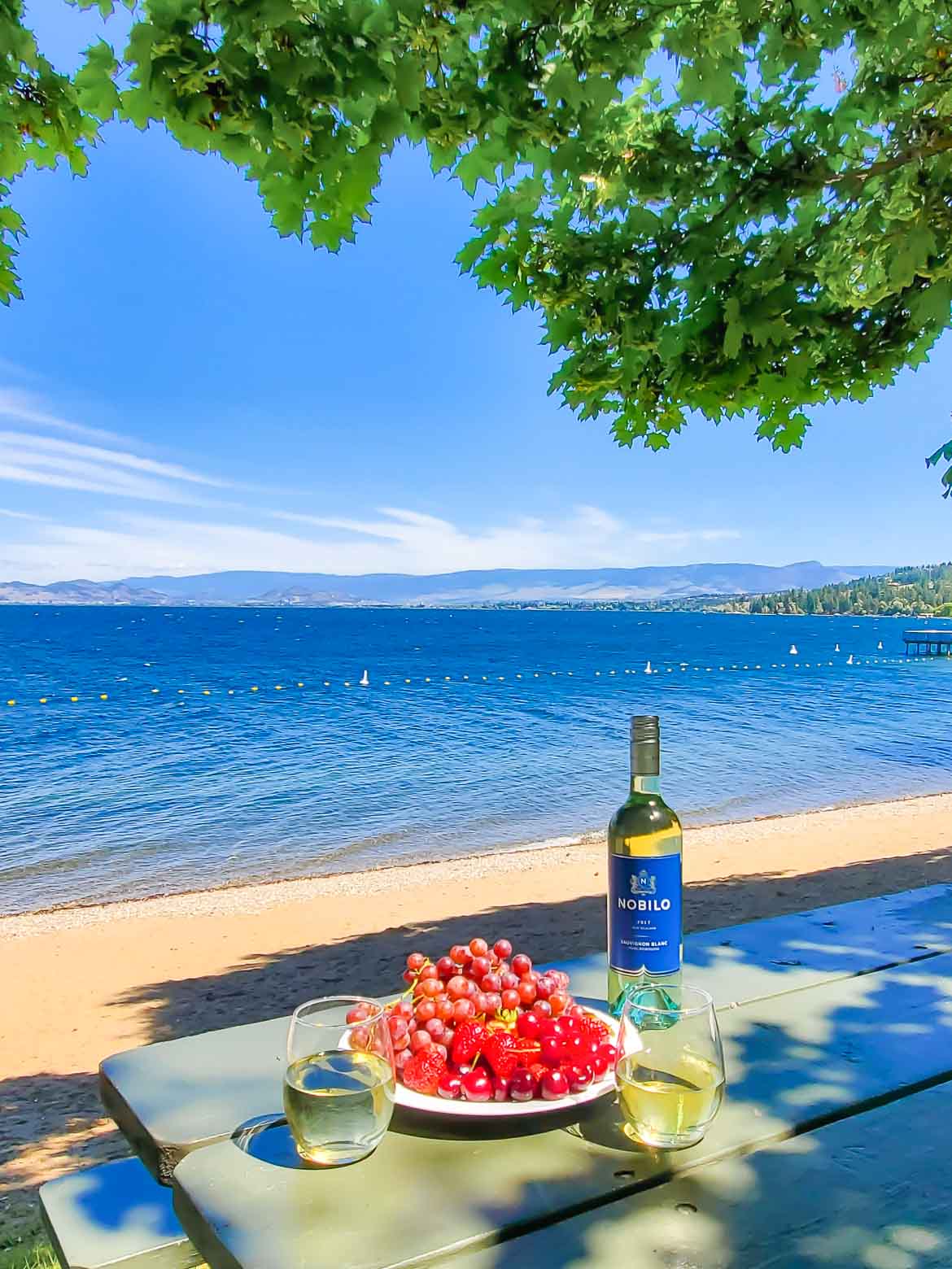 Nobilo Sauvignon Blanc white wine and fresh fruit by the beach on a mountain lake
