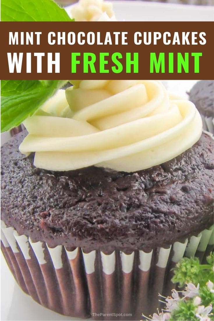 mint chocolate cupcakes with fresh mint 