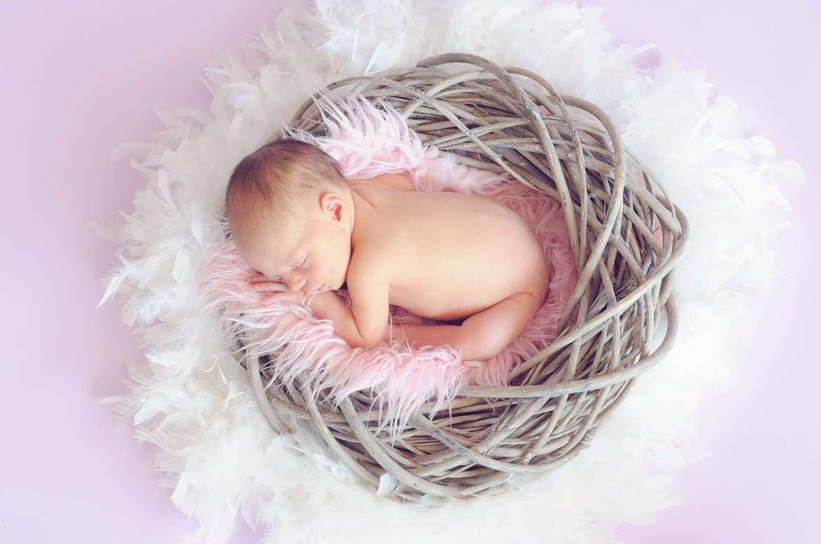 Adorable baby in a nest