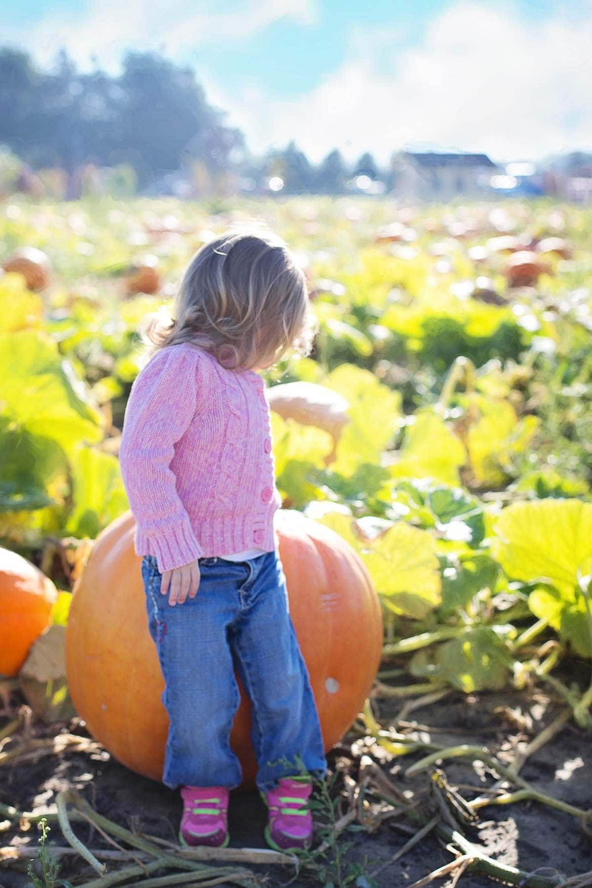 girl with giant pumpkin 