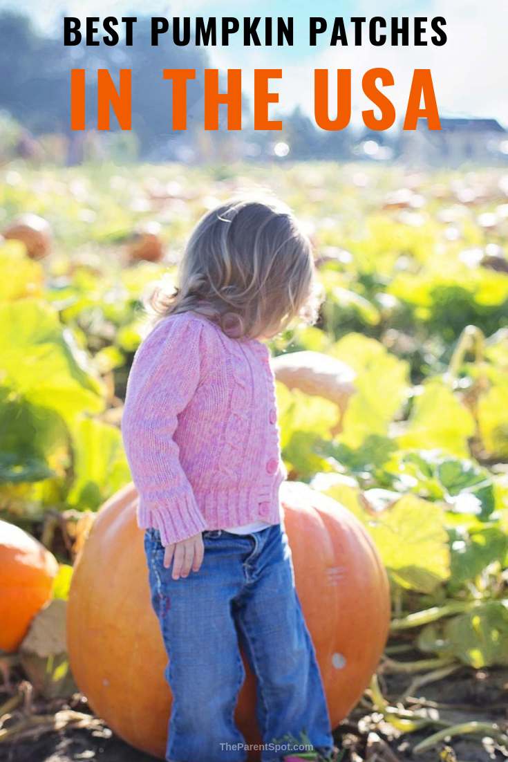 the best pumpkin patches in the USA