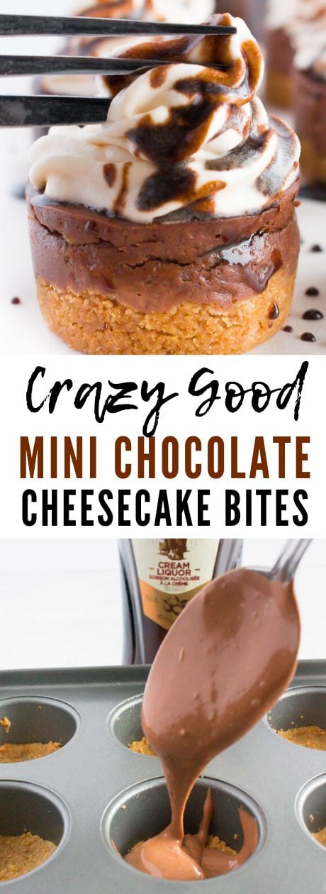 easy mini chocolate cheesecake bites 