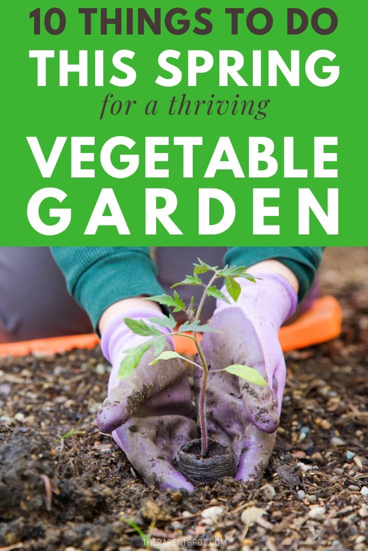 10 things to do this spring for a thriving vegetable garden