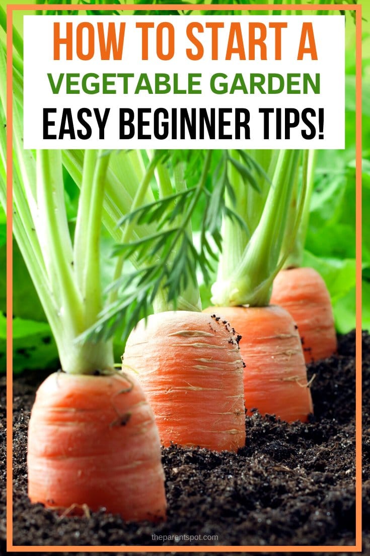 How to start a vegetable garden this spring tips for beginners