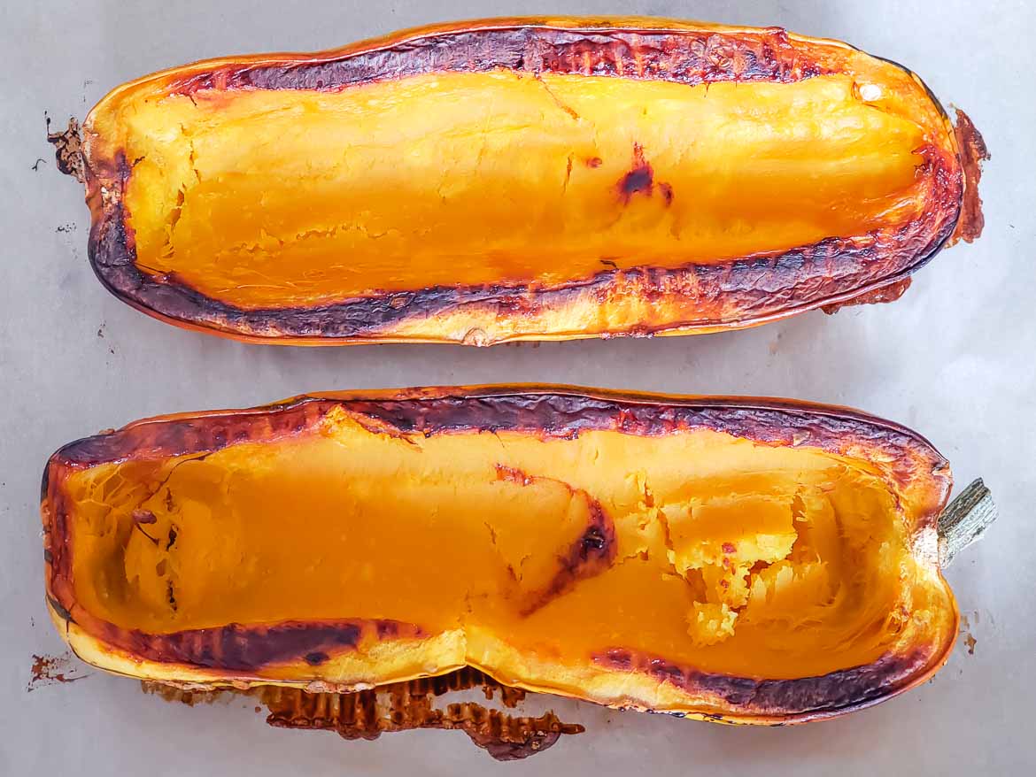 roasted delicata squash