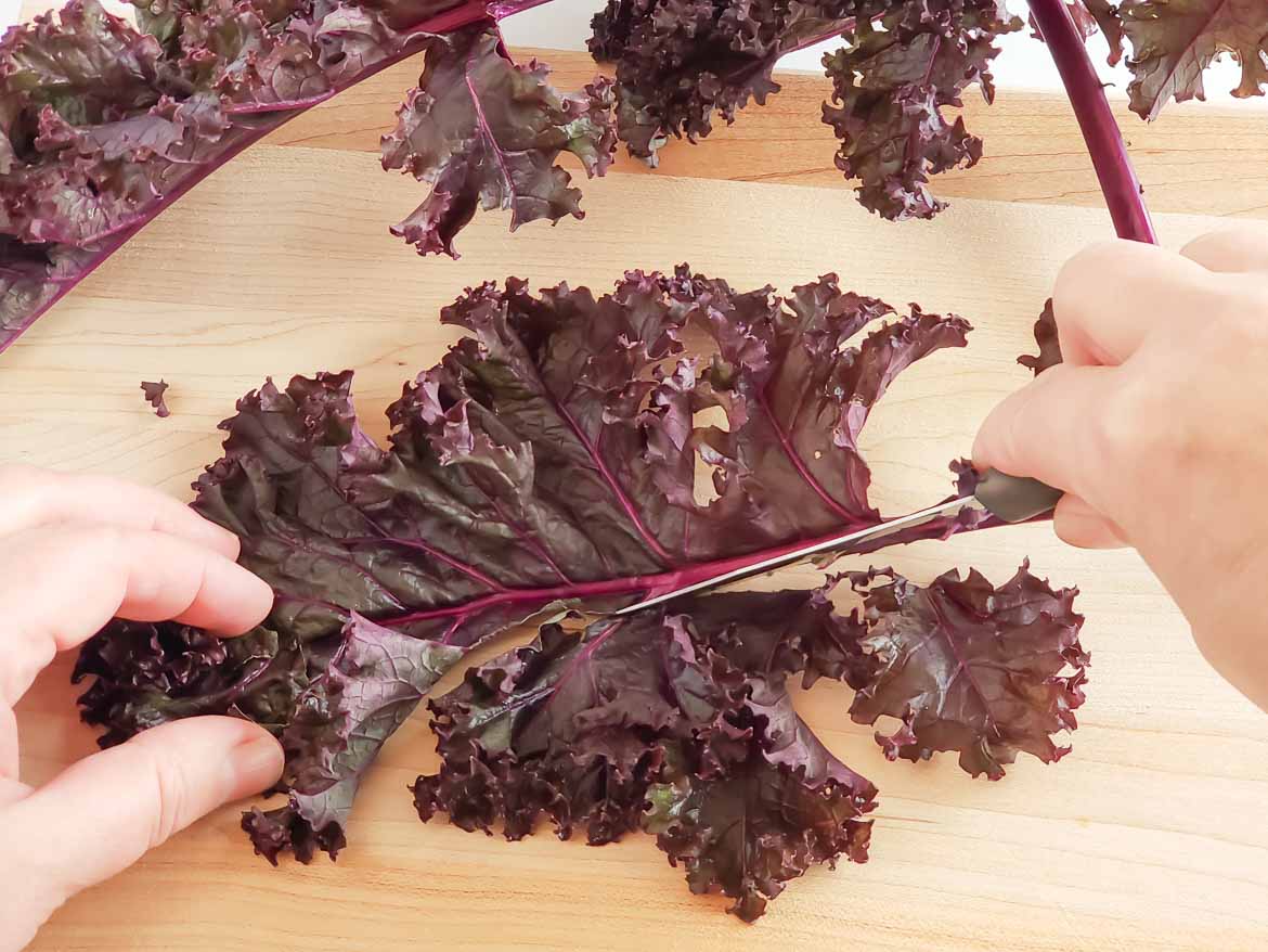 cutting purple kale stems out for kale chips