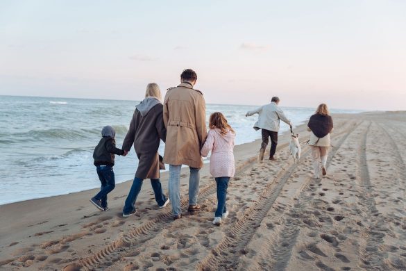 sandwich generation