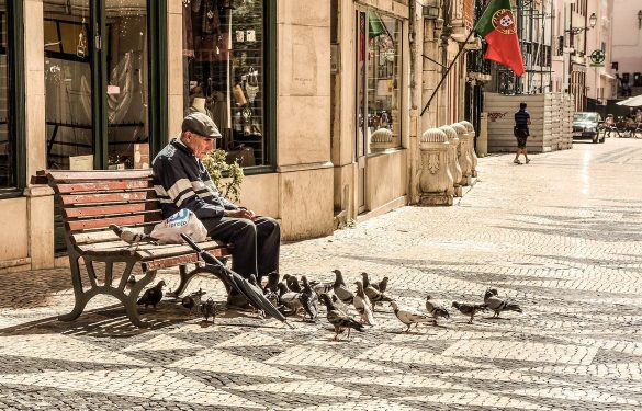 senior on a park bench with pigeons
