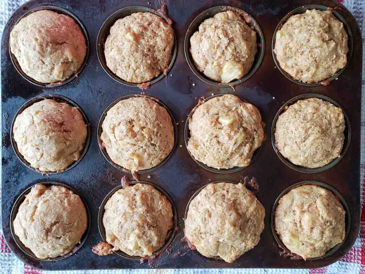 sour cream applesauce muffins in muffin tin baked