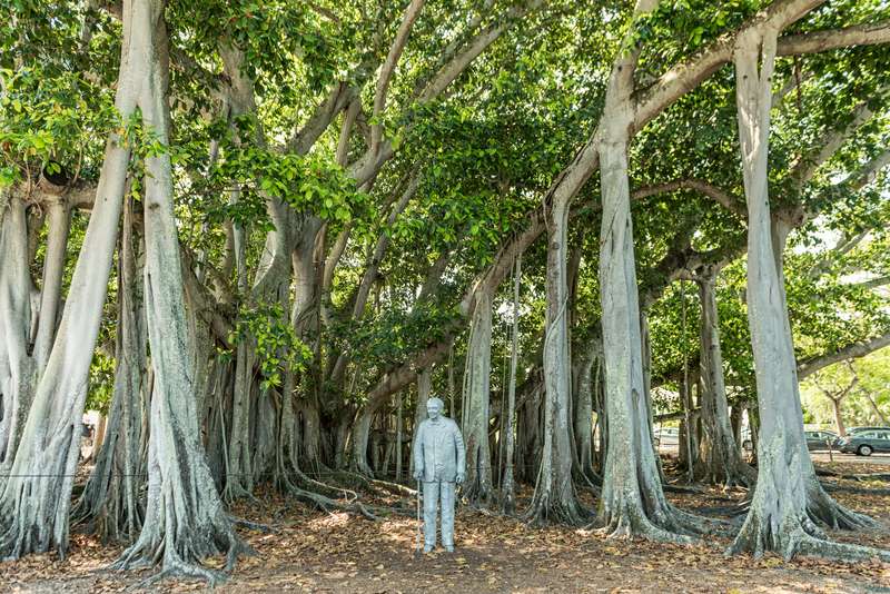 Edison and Ford Winter Estates Monument in Park Florida USA