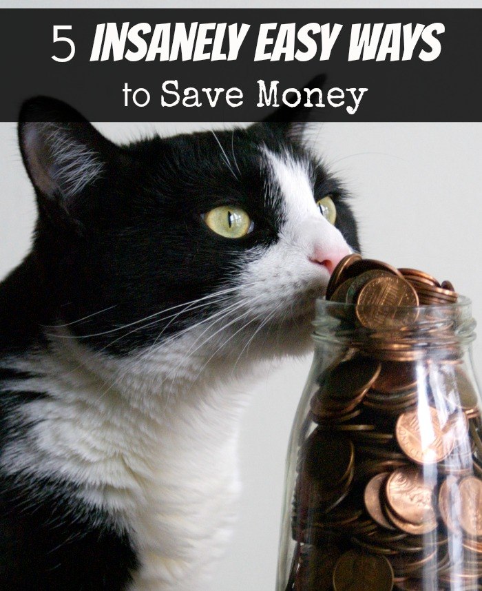5 Insanely Easy Ways to Save Money