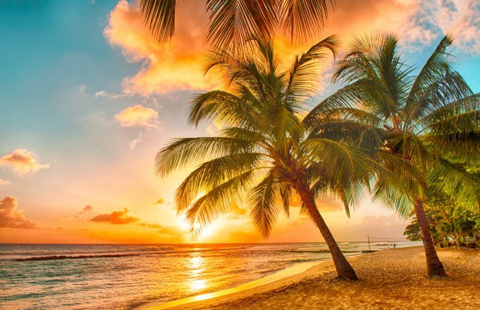 Beautiful Barbados Sunset The Best Family Things to See and Do in Barbados