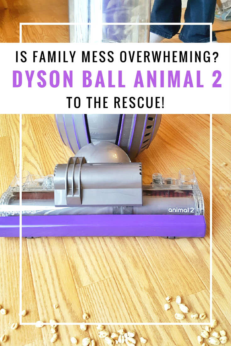 Dyson vacuum animal cleans up your family mess