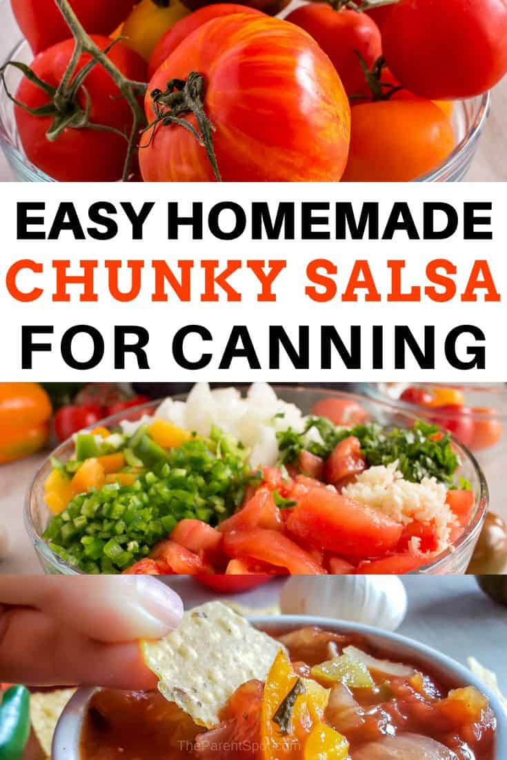 An easy homemade mild chunky salsa recipe for canning. Try it and you'll love it too!