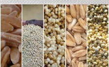 Five Ancient Grains You Can Easily Add To Your Meals Today