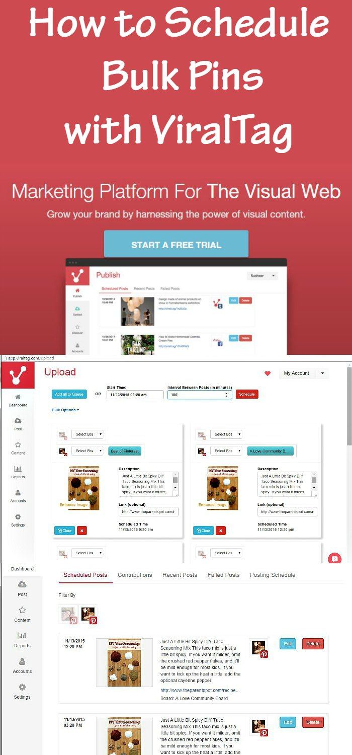 How to Schedule Bulk Pins with ViralTag