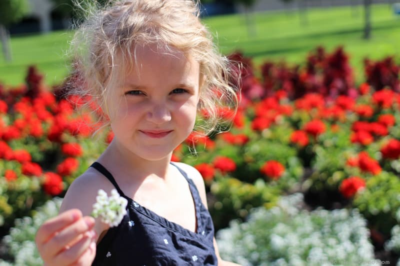 Kelowna girl in a field of flowers