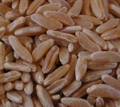 Non GMO Whole Grain Kamut