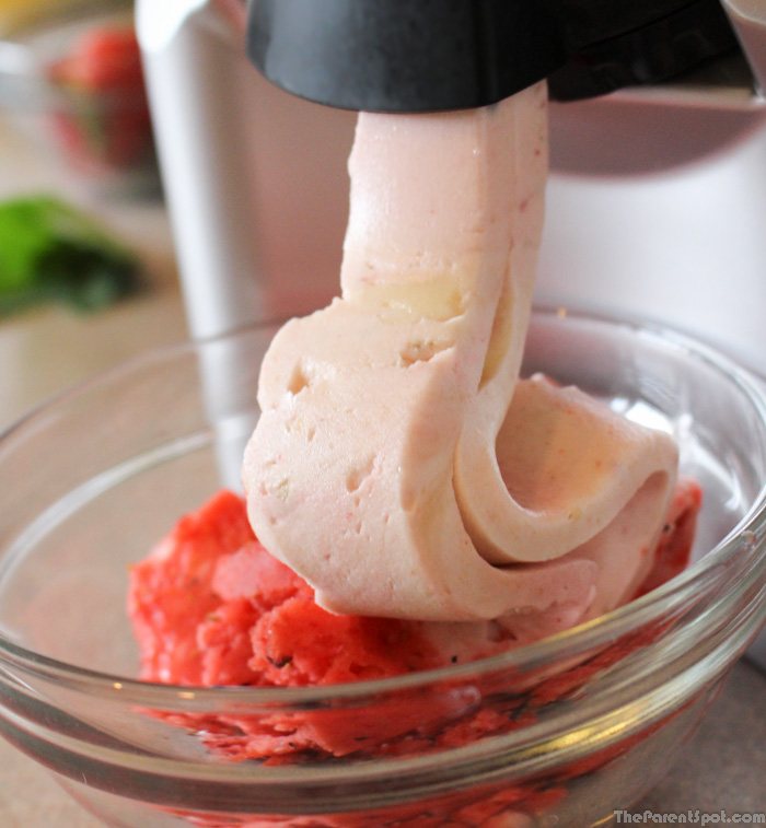 Using a Yonanas for Healthy DIY Ice Cream - The Make Your Own Zone