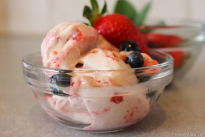 Strawberry Blueberry Banana Yonanas Frozen Dessert