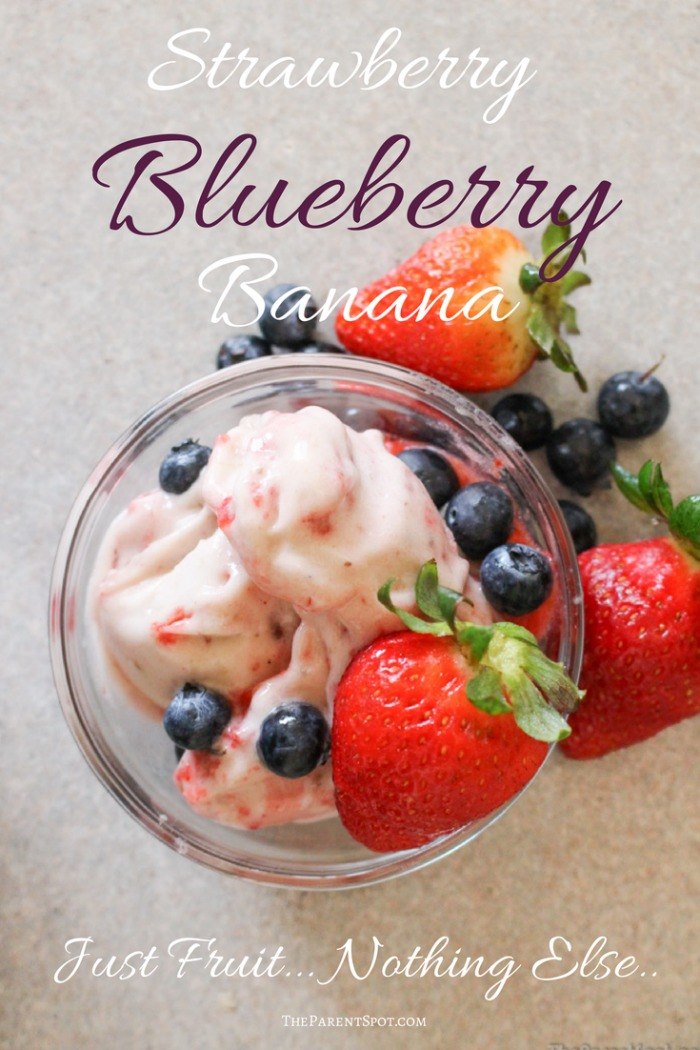 Strawberry Blueberry Banana Yonanas Frozen Dessert