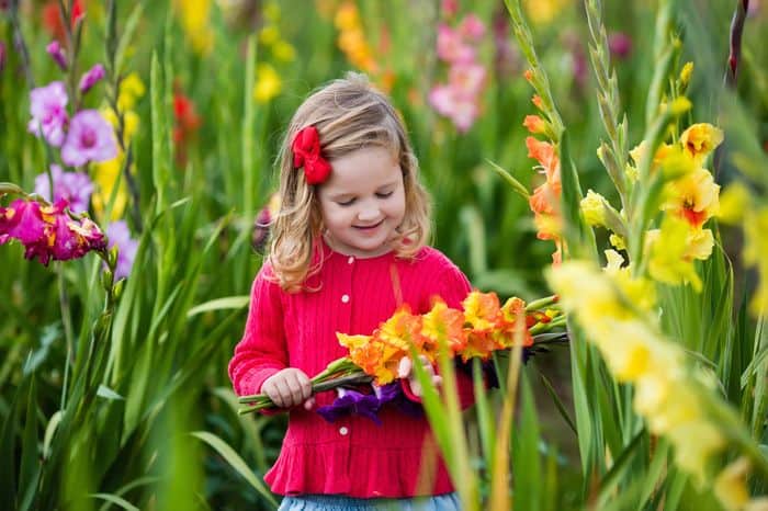 Growing An Edible Flower Garden For Kids child holding gladiolus flowers