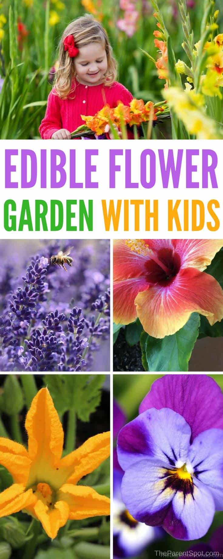 want to have some fun growing edible flowers with your kids? Try this easy kids flower garden! You can eat the results! #gardeningtips